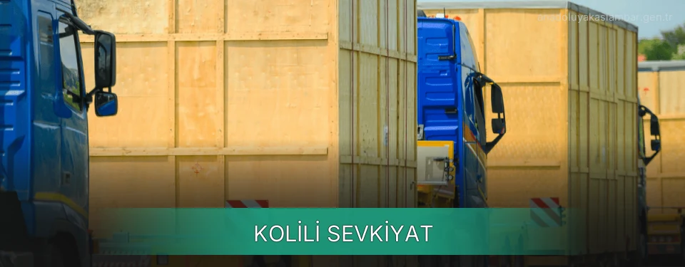 Anadolu Yakası Kolili Sevkiyat Ambar Firmaları