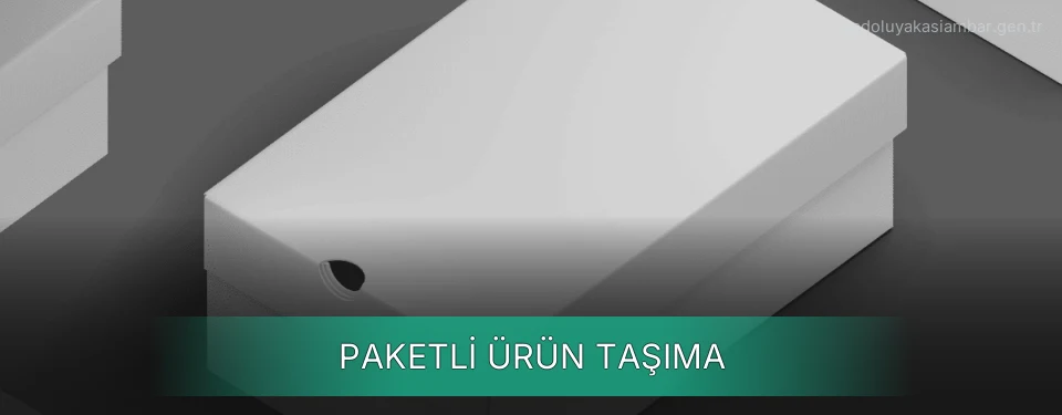 Paketli Ürün Taşıma Paketli Ürün Taşıma
